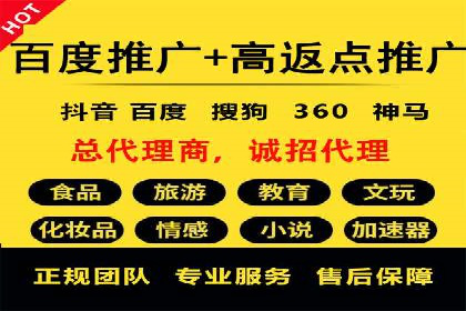 SEM广告投放案例：揭秘高转化率秘诀